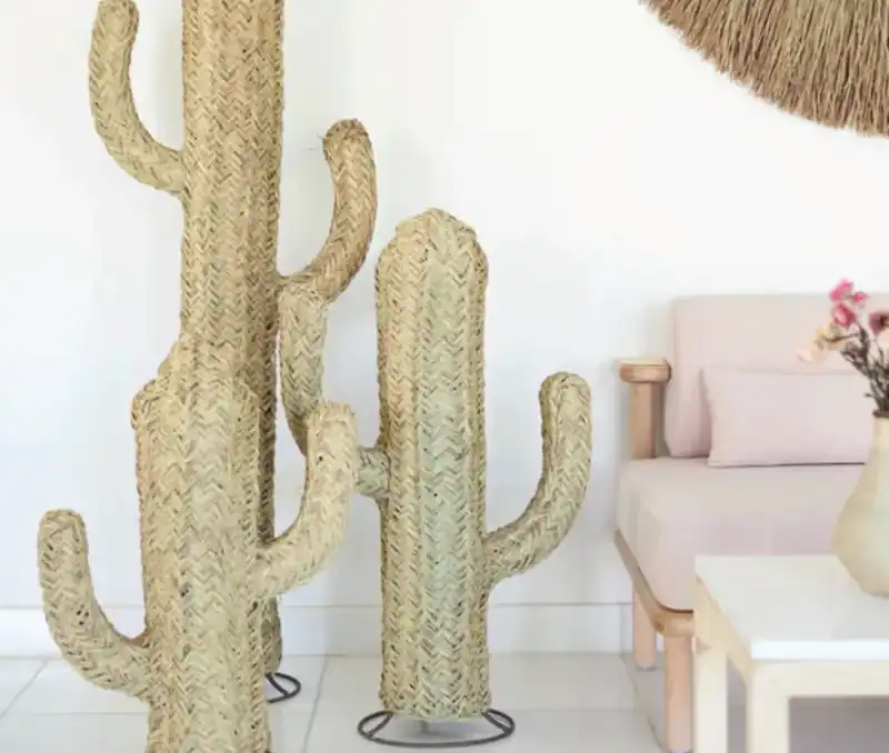 Cactus — photo