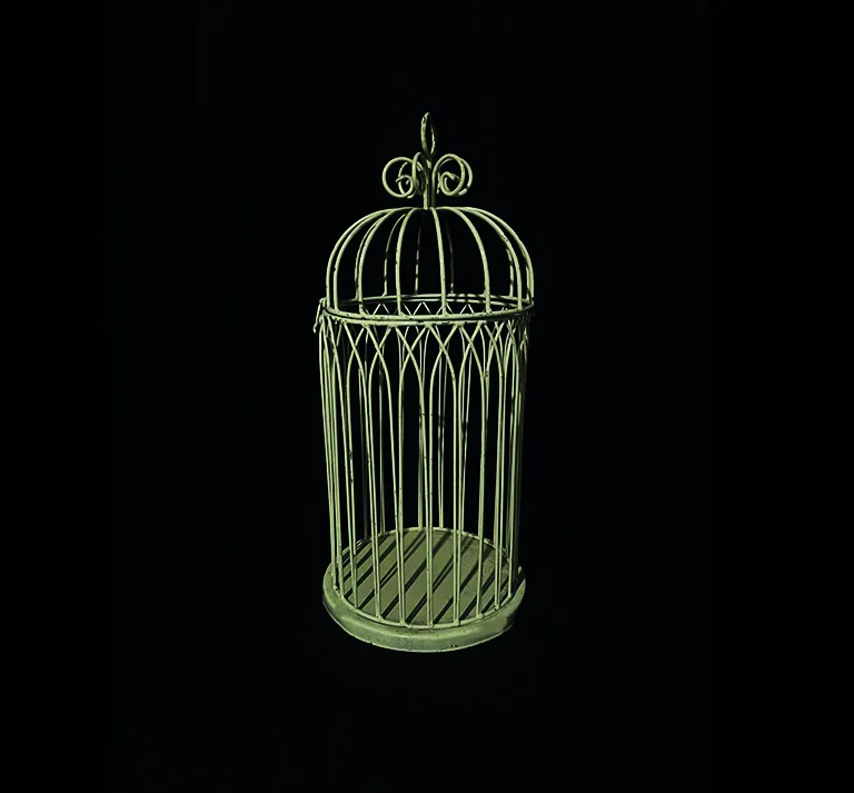 Cage décorative