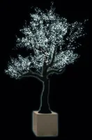 Arbre lumineux