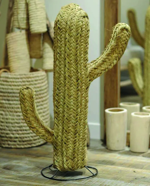 Cactus décoratif