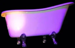 Baignoire Louis XVI