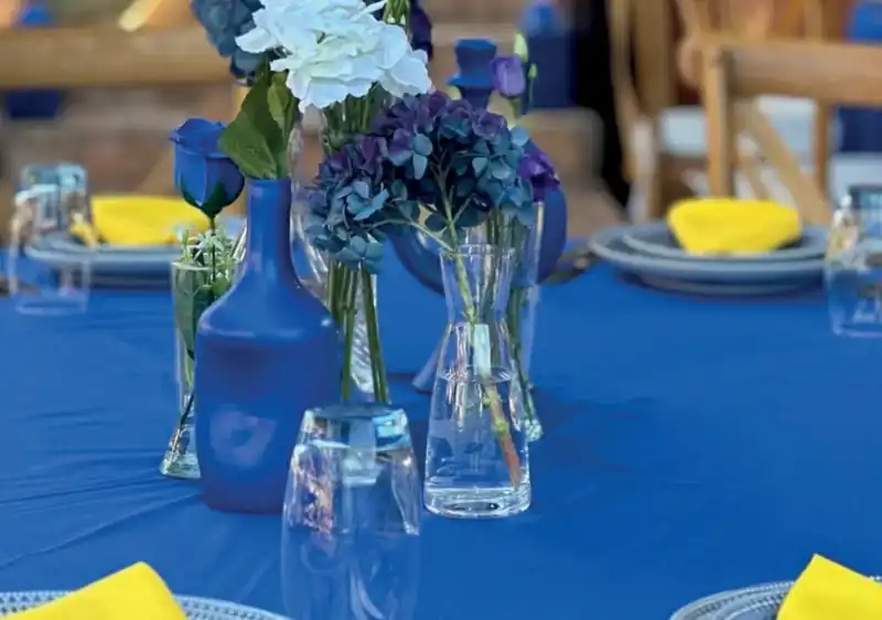 Trio vase bleu — photo